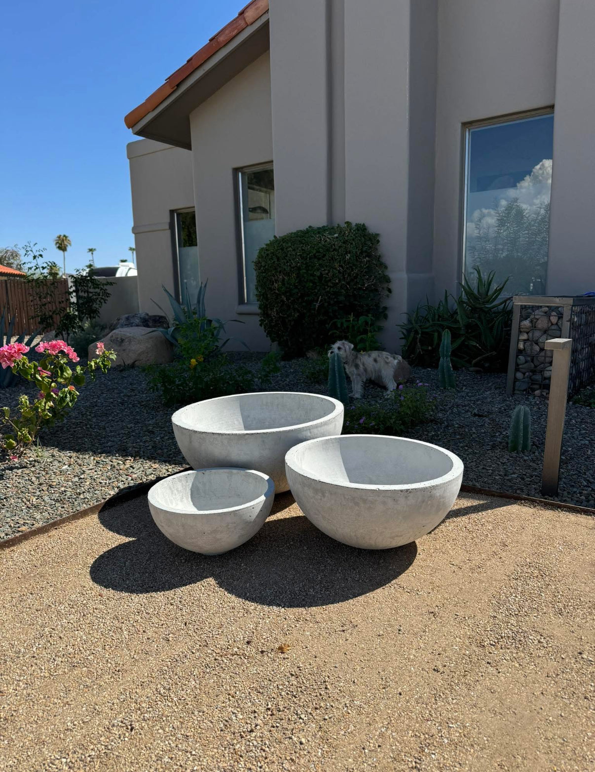 Concrete Planters