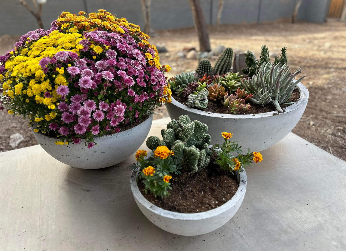 Concrete Planters